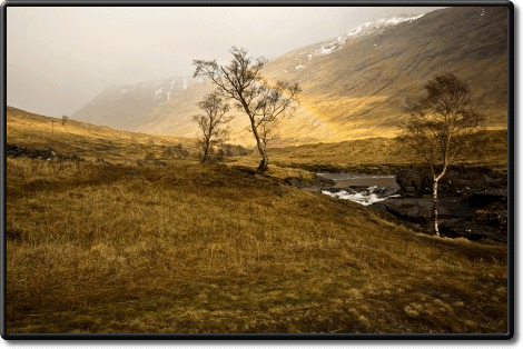 canvas printing service 